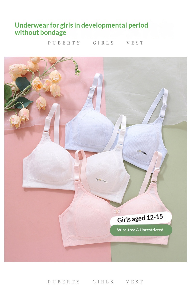 High Quality Girls' Underwear For Developmental Period, Early High School Students' Sports Bra, Pure Cotton Breathable Adjustable_voghion.com