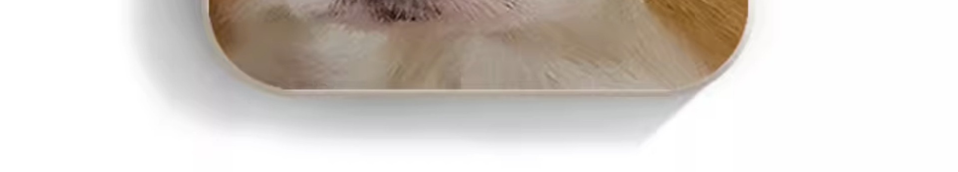 Funny Corgi Compatible With Iphone 14 Phone IPhone 15 Pro Max Fun 7/8 Plus Matte 13 Soft Case_voghion.com