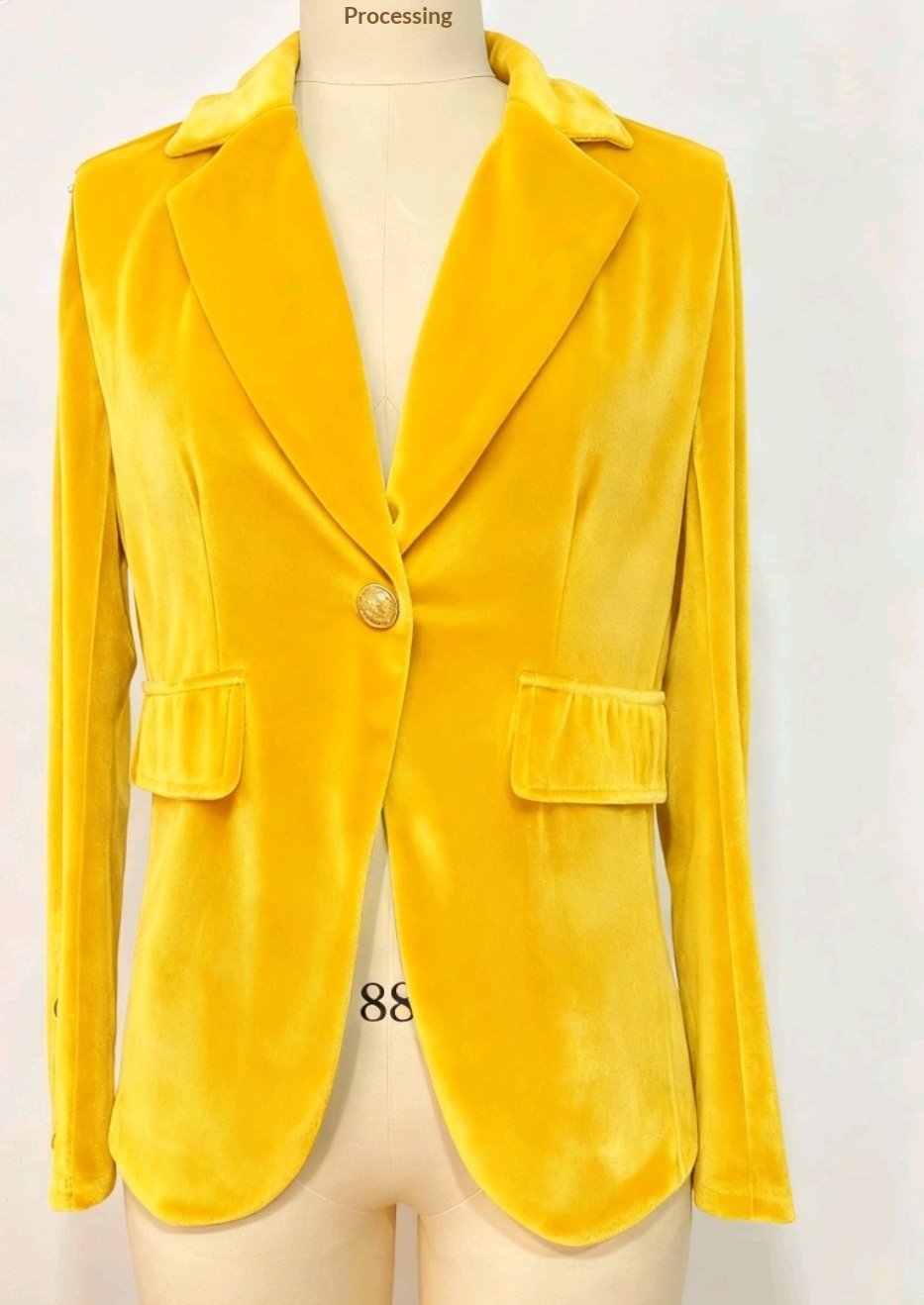 Blazer femme en velours coupe cintrée style européen_voghion.com