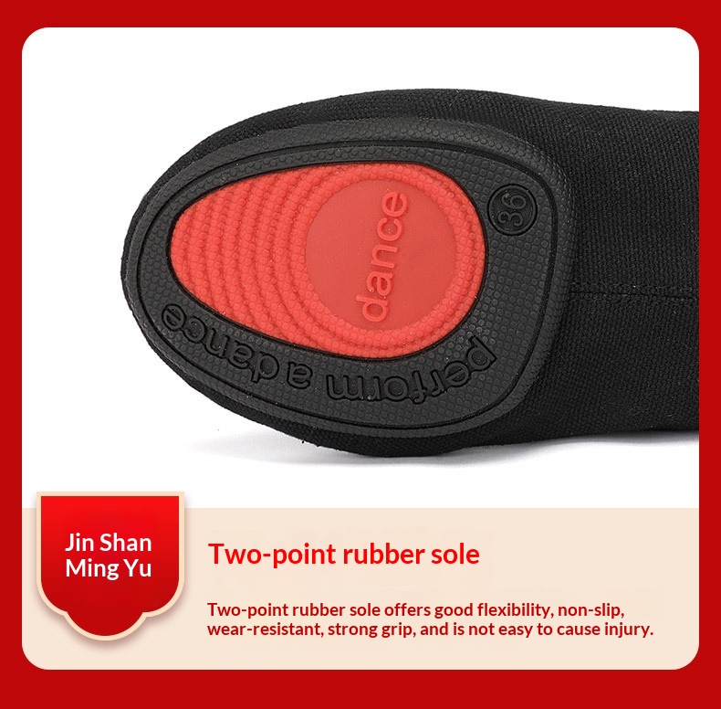 Professional Dance Shoes For Women And Children Soft Sole Practice_voghion.com