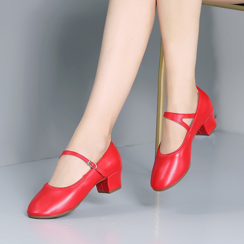 Dance Shoes Silver Ethnic New Style Square Women's Adult Shoes Low Heel Four Seasons Yangko Social Dance_voghion.com