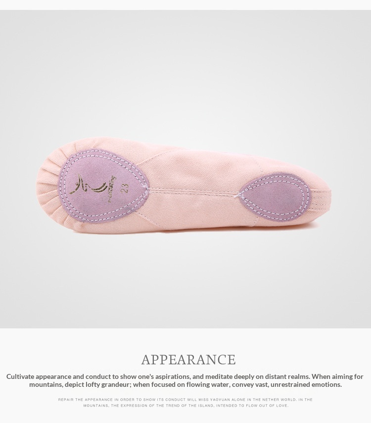 Ballet Dance Shoes For Women Soft Sole Pointe Practice Footwear_voghion.com