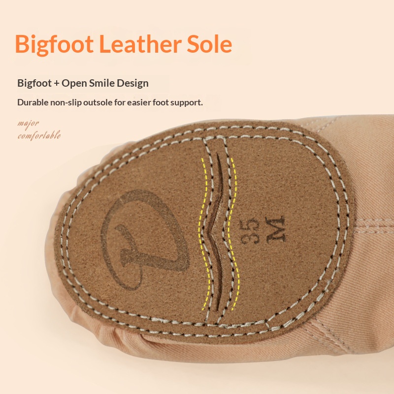 Ballettschuhe aus elastischem Stoff, Übungsschuhe für Erwachsene, weiche Sohle, Katzenkrallenprofil, kein Schnüren erforderlich, Kindertanzschuhe_voghion.com