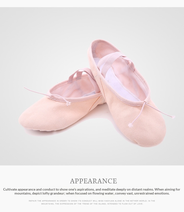 Ballet Dance Shoes For Women Soft Sole Pointe Practice Footwear_voghion.com