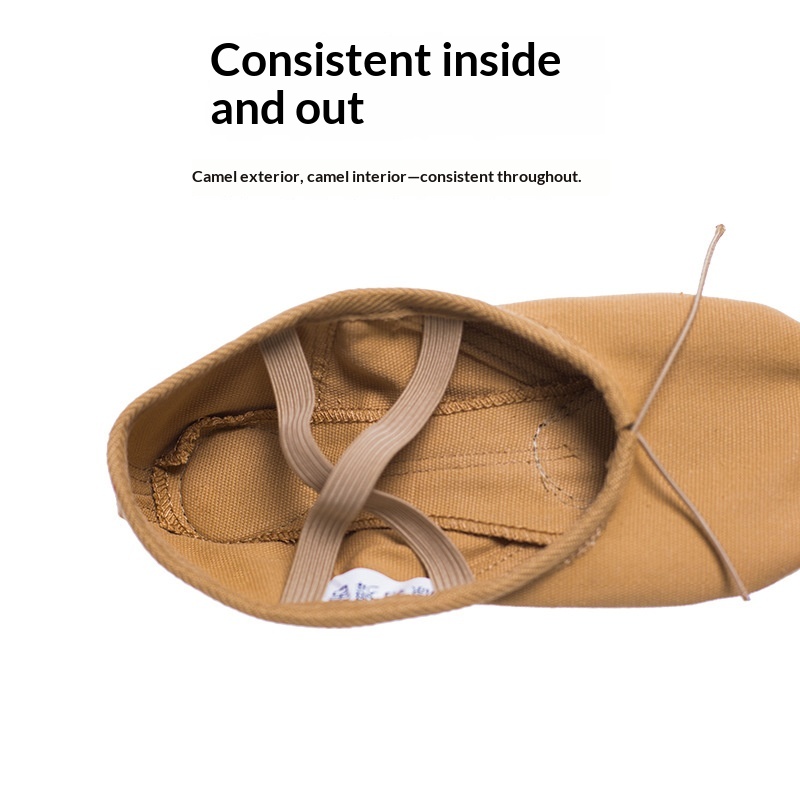 Scarpe da ballo di alta gamma per adulti, color cammello, per donne, uomini e bambini, scarpe da ballo con suola morbida a zampa di gatto, scarpe da balletto yoga._voghion.com
