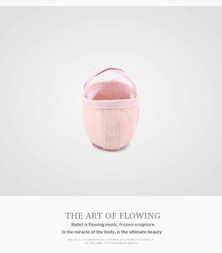 Ballet Dance Shoes For Women Soft Sole Pointe Practice Footwear_voghion.com