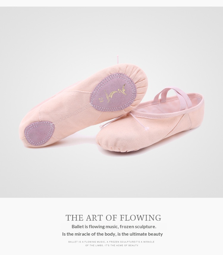 Ballet Dance Shoes For Women Soft Sole Pointe Practice Footwear_voghion.com