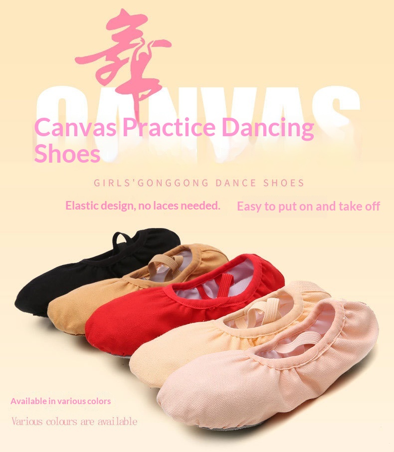 Chaussures de danse professionnelles en cuir à semelle souple_voghion.com
