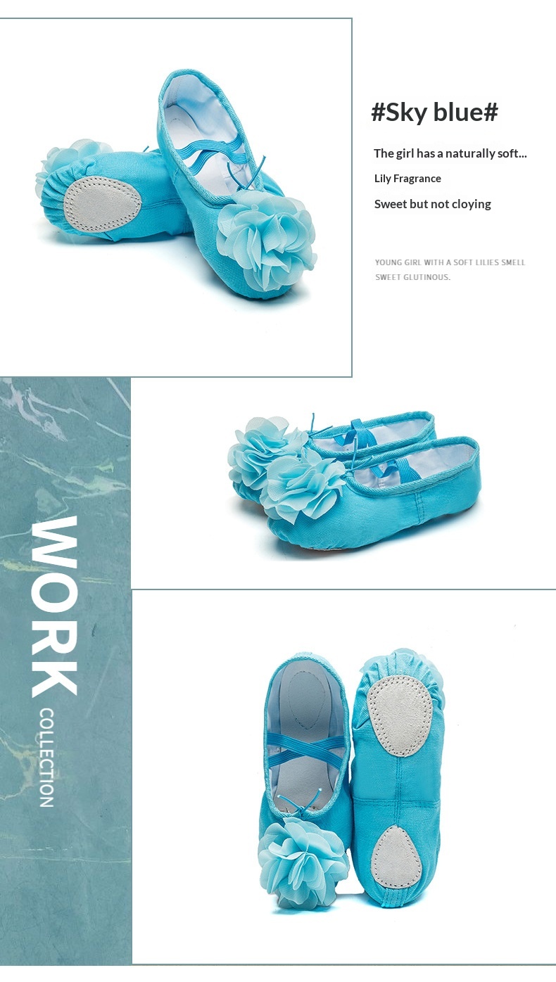 Dance Shoes Ballet Soft Soled Practice Shoes For Adults And Kids_voghion.com