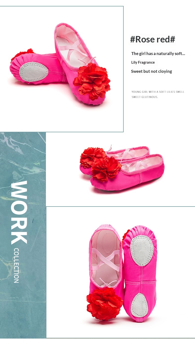 Dance Shoes Ballet Soft Soled Practice Shoes For Adults And Kids_voghion.com