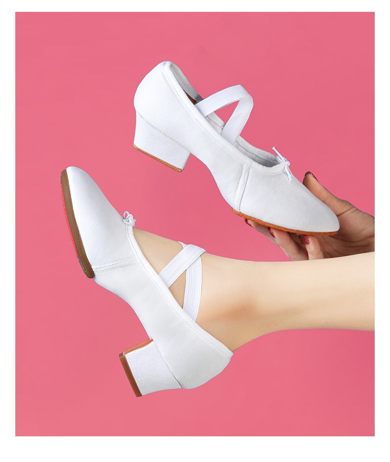Breathable Women's Dance Shoes For Modern Ballet And Belly Dance_voghion.com