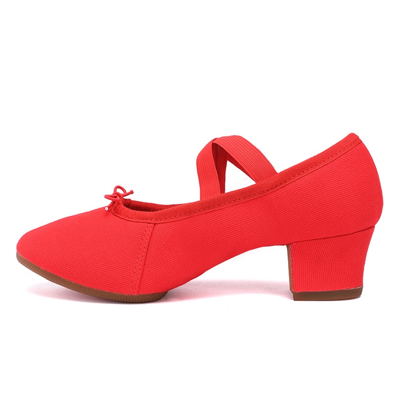 Dance Shoes Dance Training Shoes For Teachers, Outdoor Adult Women's Belly Dance, Modern Dance Practice, Ballet, Breathable, Flat_voghion.com