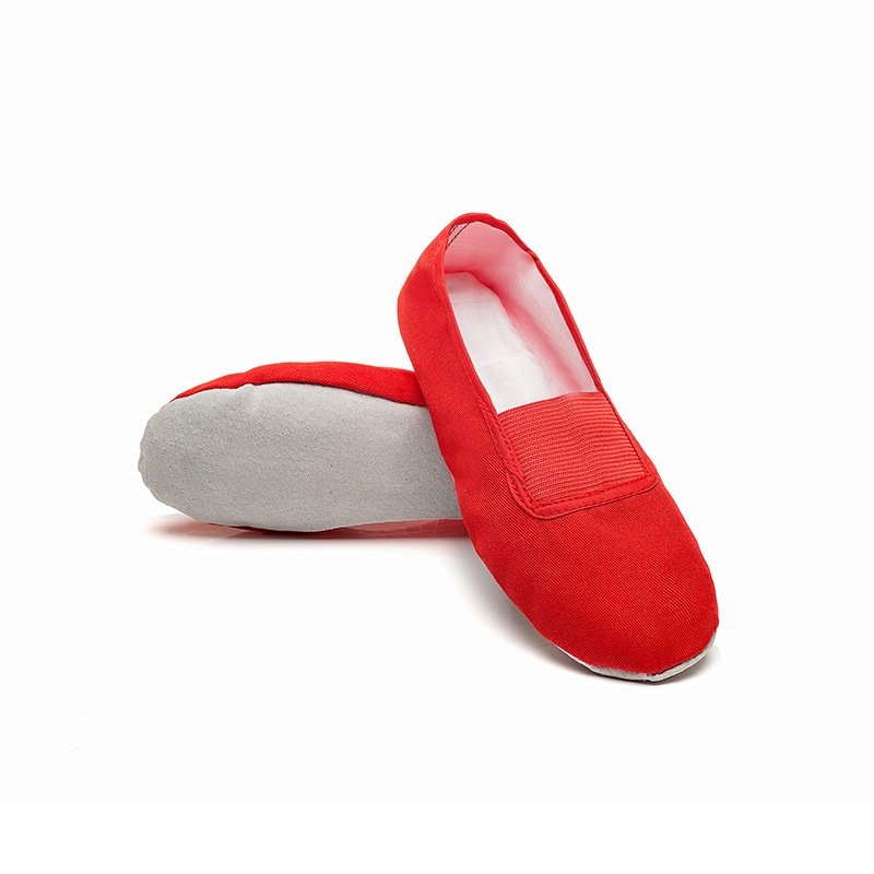 Sapatos de dança para adultos e crianças, ginástica, balé e ioga, com sola macia e formato de pata de gato, brancos, ideais para professores de dança._voghion.com