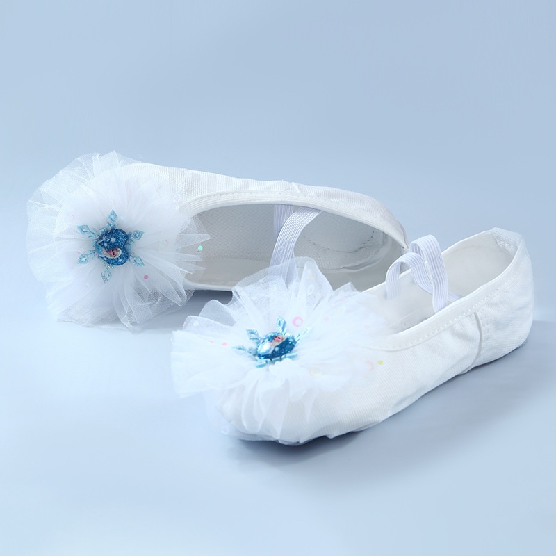 Dance Shoes New Dance Shoes For Children Soft Sole Girls Practice No-Tie Special Chinese Performance Dancing Cat Paw Ballet_voghion.com