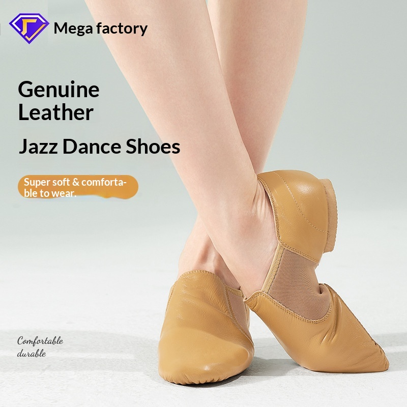 Tanzschuhe für Damen aus echtem Leder für Jazz, Ballett für Erwachsene mit weicher Sohle, Übungsschuhe speziell für Lateinamerikanische Tänze (Katzenpfote)_voghion.com