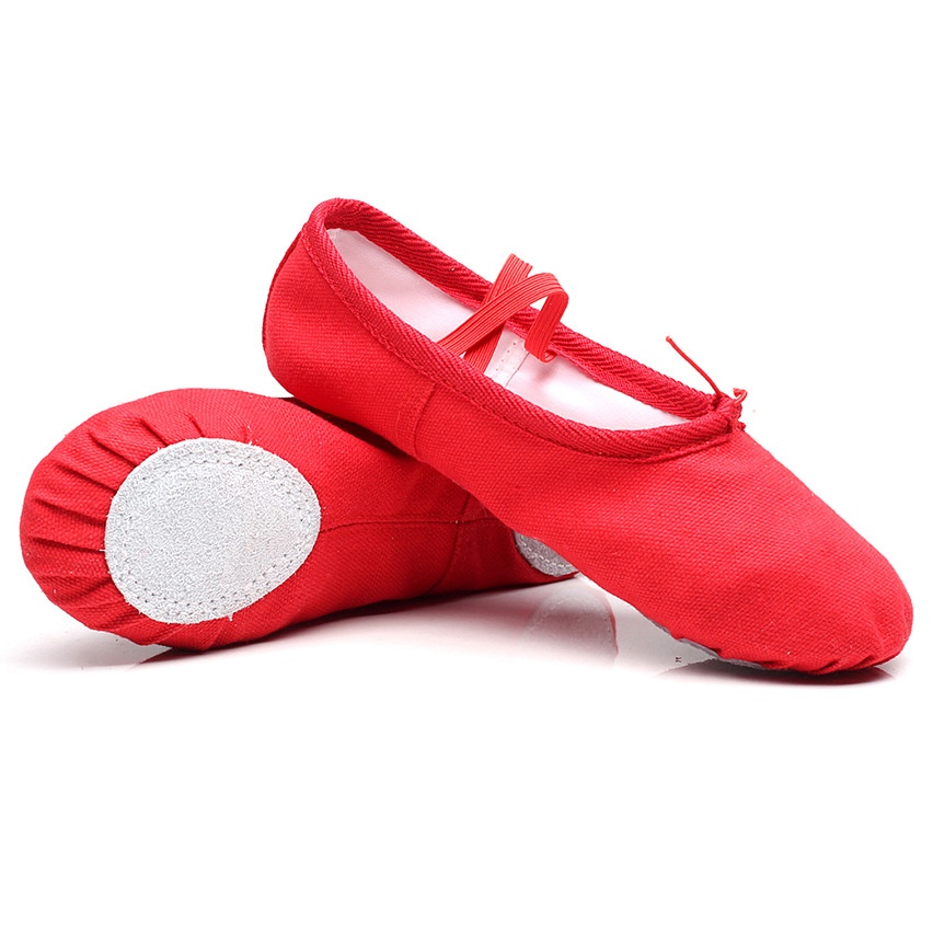 Sapatos de dança para adultos e crianças, com sola macia, para prática. Sapatos de ioga e balé em lona com estampa de pata de gato para meninas._voghion.com