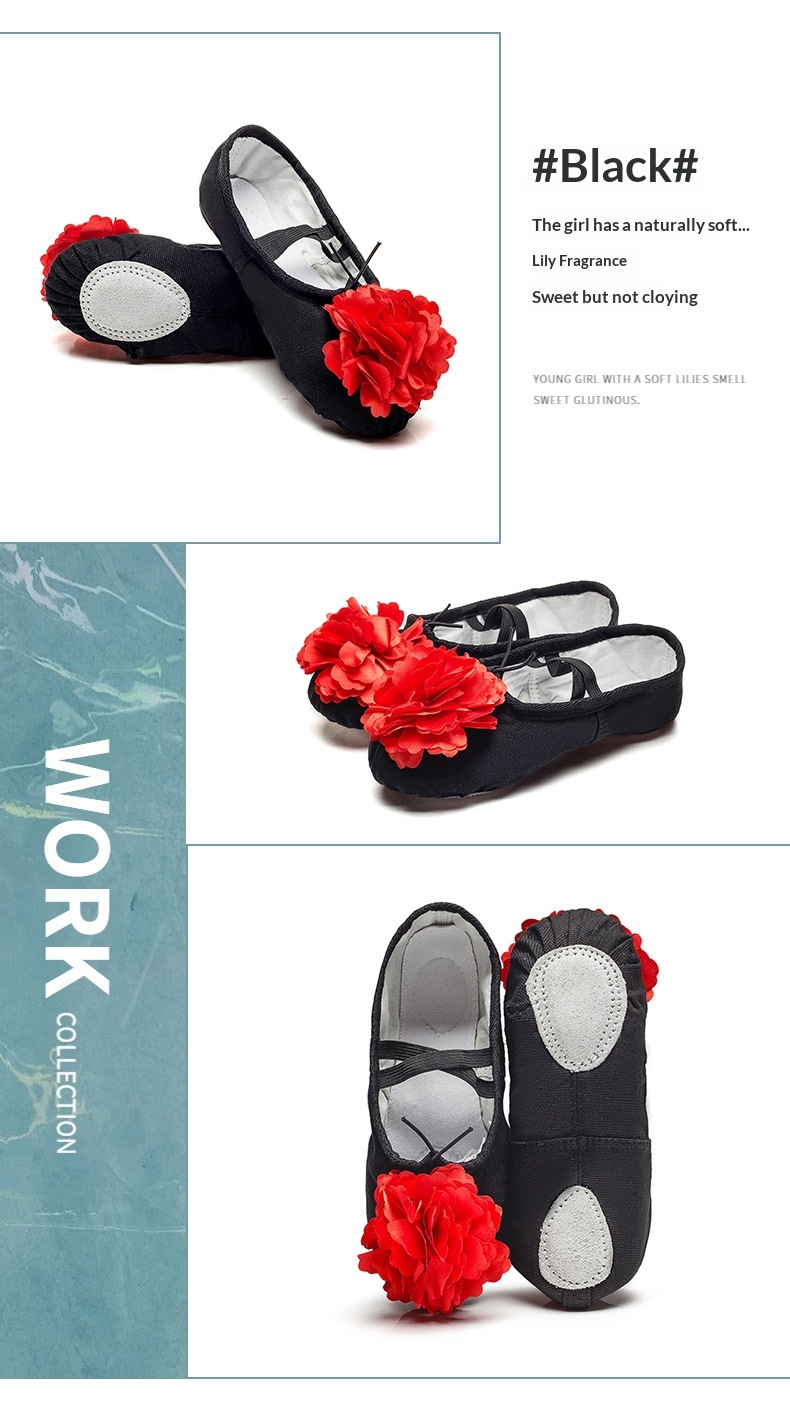 Dance Shoes Ballet Soft Soled Practice Shoes For Adults And Kids_voghion.com