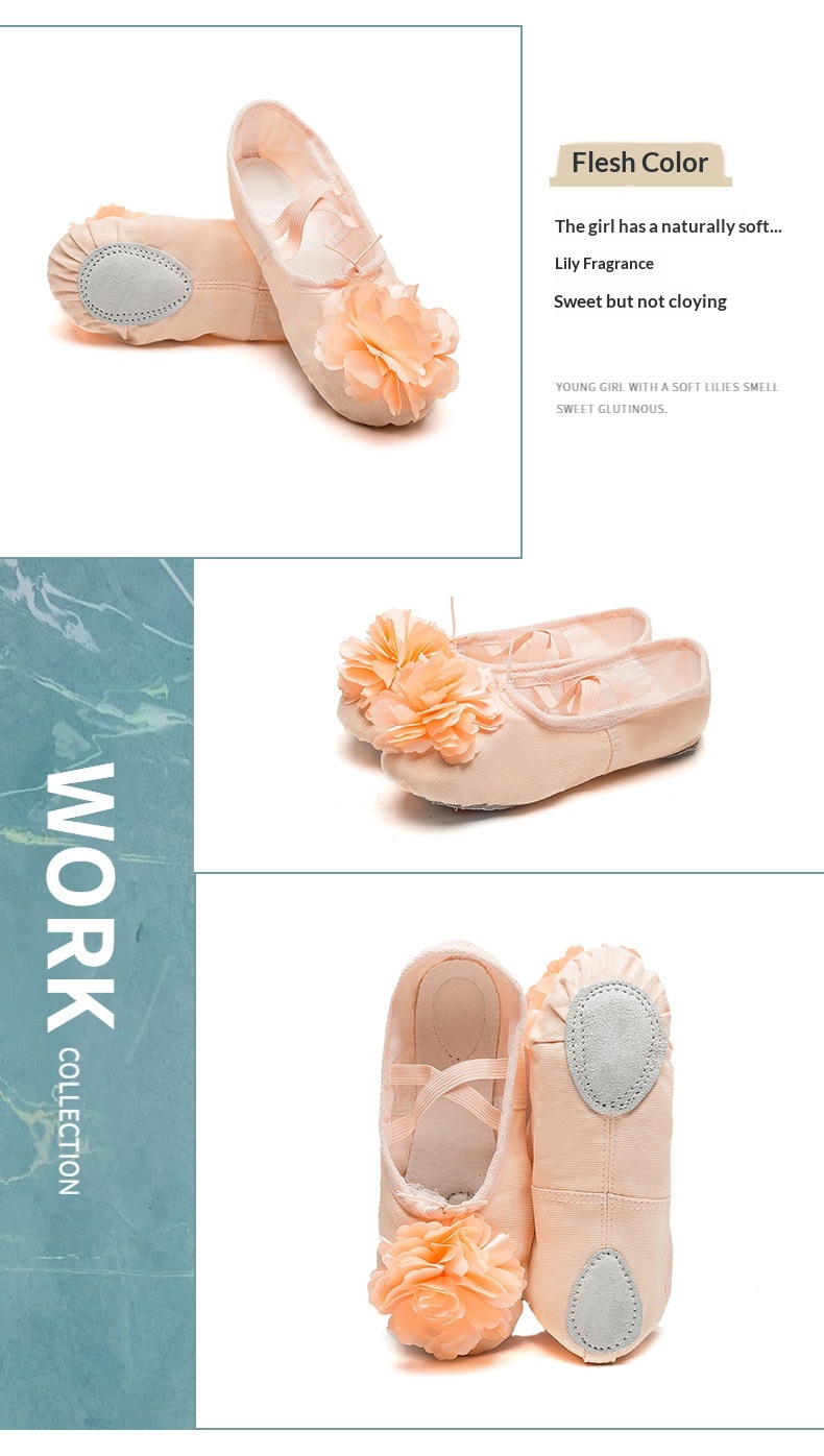 Dance Shoes Ballet Soft Soled Practice Shoes For Adults And Kids_voghion.com