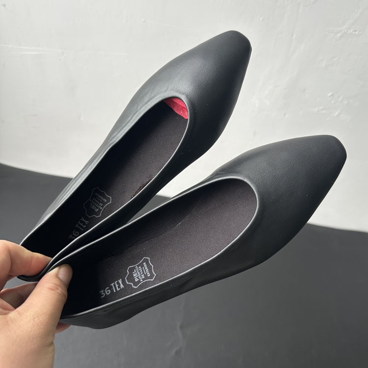 Dance Shoes Spring 2025 French Single-strap Ballet Dance Shoes, Foreign Trade, Size 42, Women's Flat Shoes_voghion.com
