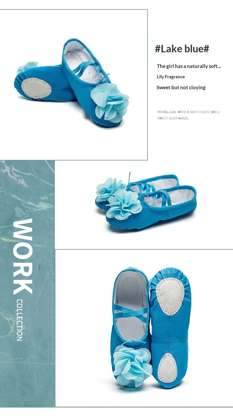 Dance Shoes Ballet Soft Soled Practice Shoes For Adults And Kids_voghion.com