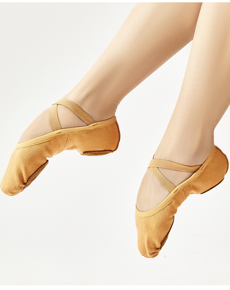 Professionelle Tanzschuhe Für Damen Mit Weicher Sohle Und Stretch_voghion.com