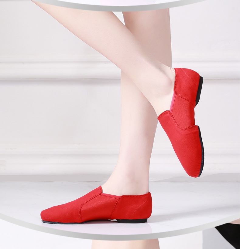 Damen Tanzschuhe Mit Elastischem Stoff Und Weicher Sohle Für Jazz_voghion.com
