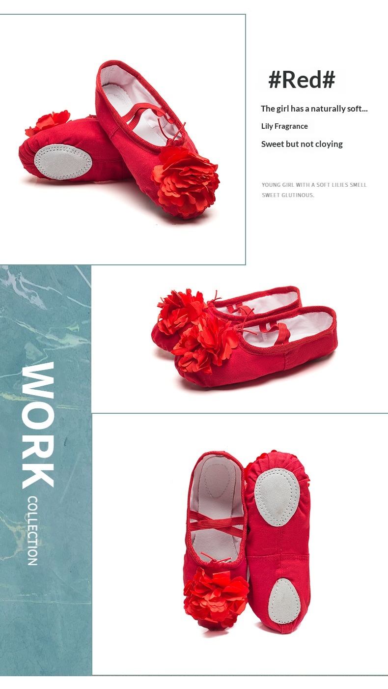 Dance Shoes Ballet Soft Soled Practice Shoes For Adults And Kids_voghion.com
