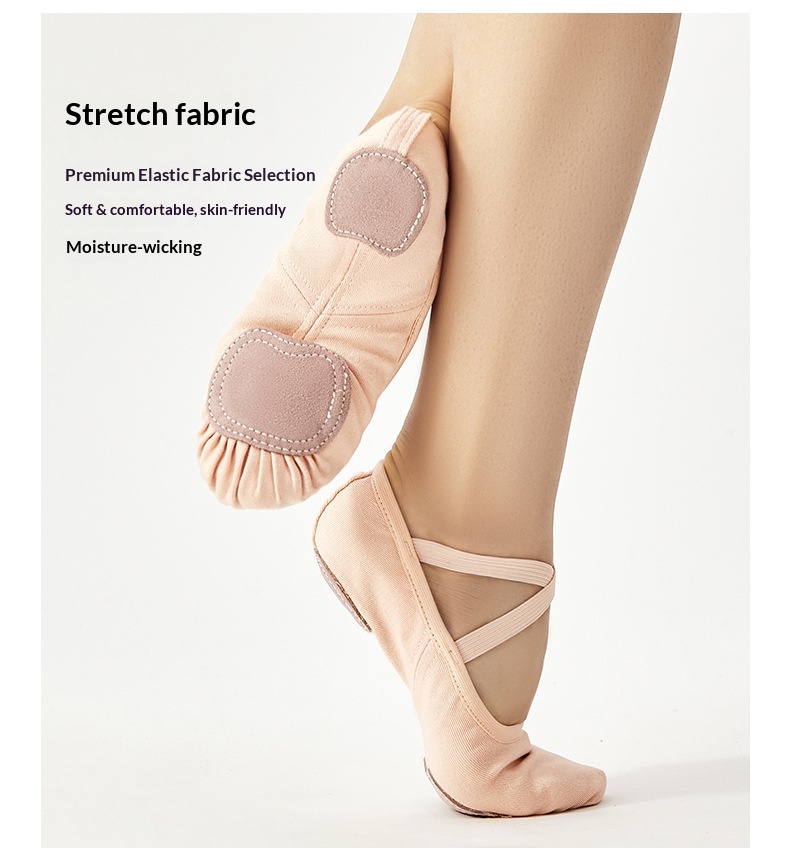 Professionelle Tanzschuhe Für Damen Mit Weicher Sohle Und Stretch_voghion.com