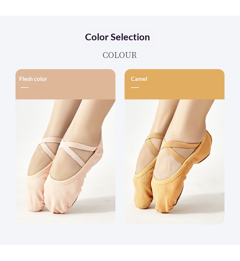 Professionelle Tanzschuhe Für Damen Mit Weicher Sohle Und Stretch_voghion.com