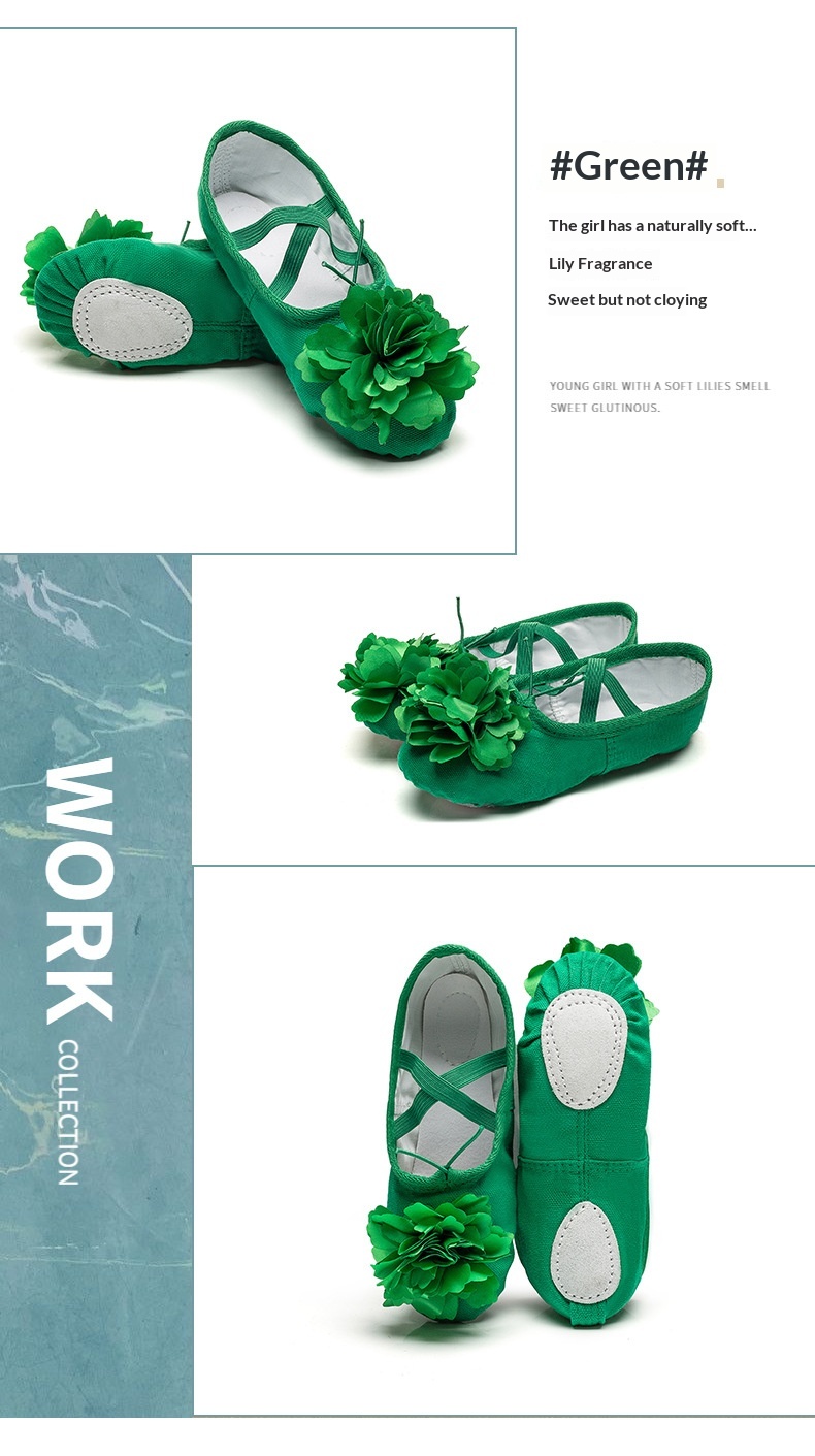 Dance Shoes Ballet Soft Soled Practice Shoes For Adults And Kids_voghion.com