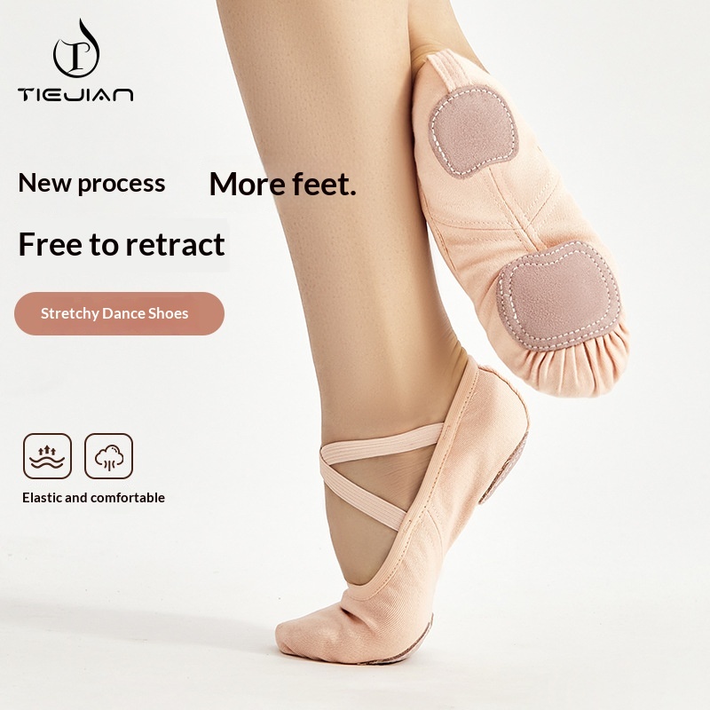 Tanzschuhe für Damen, weiche Sohle, Ballett-Stretchmaterial, für Erwachsene, klassischer Tanz, Übungsschuhe mit Katzenpfoten-Design, Yoga_voghion.com