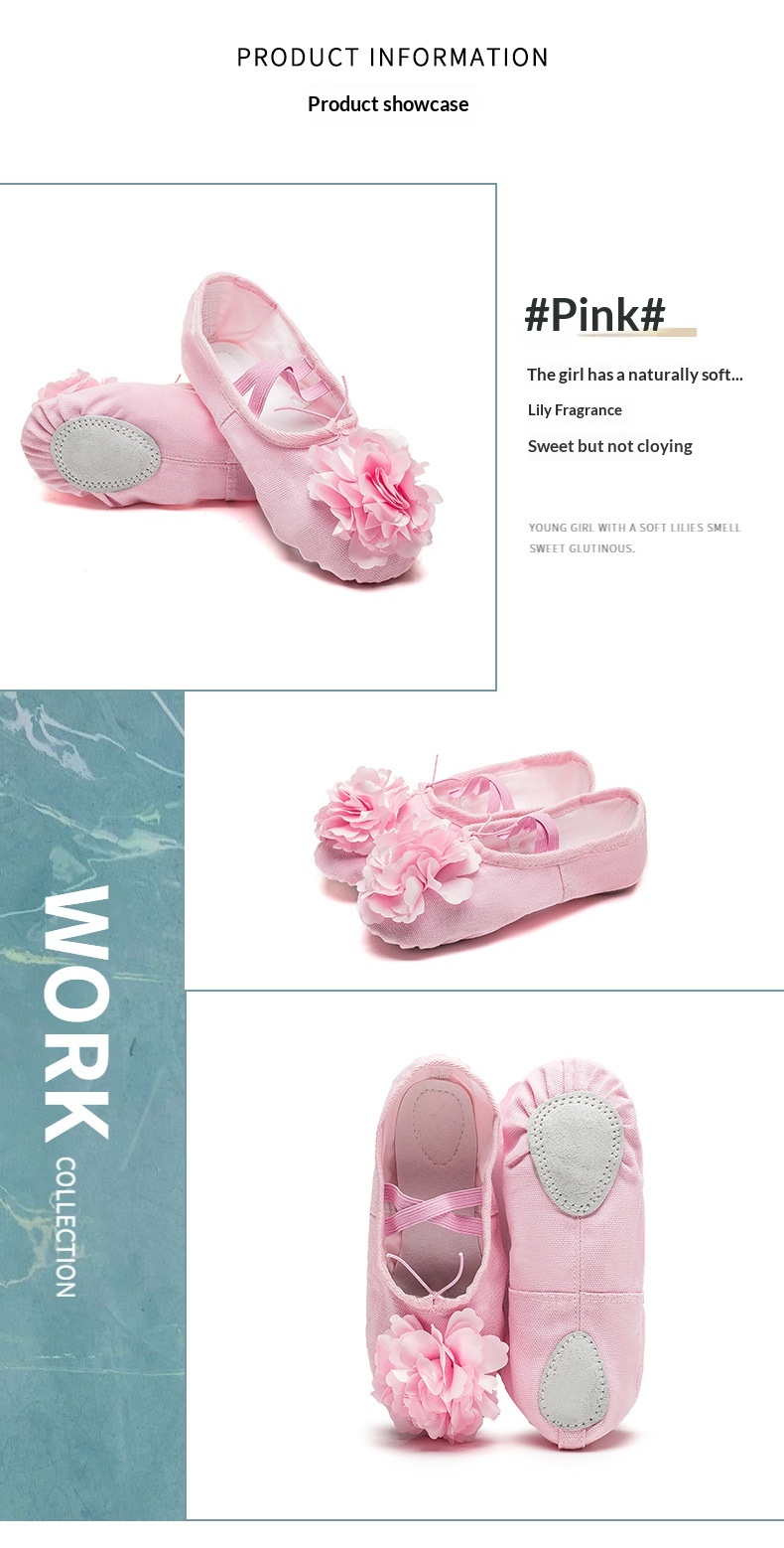 Dance Shoes Ballet Soft Soled Practice Shoes For Adults And Kids_voghion.com