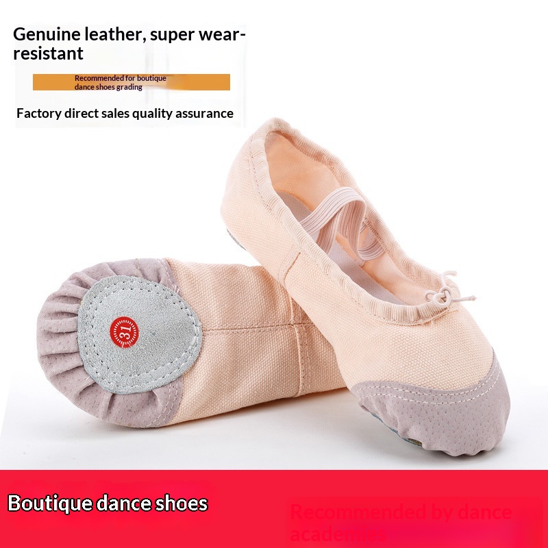 Dance Shoes Adult Girls Soft Sole Practice Boys Chinese Style Cat Paw Children's Dance Ballet Shoes_voghion.com