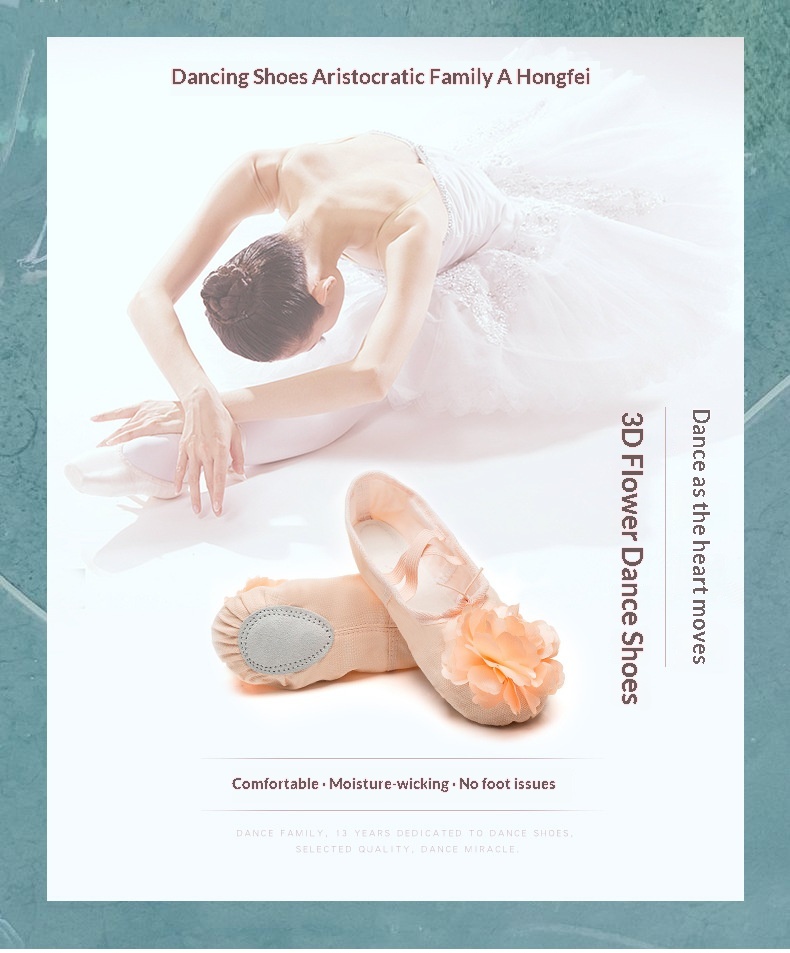 Dance Shoes Ballet Soft Soled Practice Shoes For Adults And Kids_voghion.com