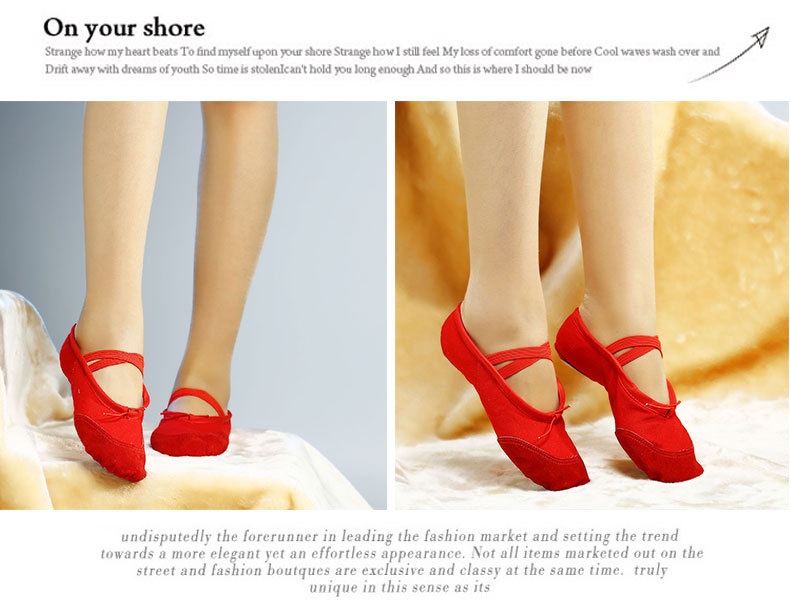 Chaussures de danse professionnelles en cuir à semelle souple_voghion.com