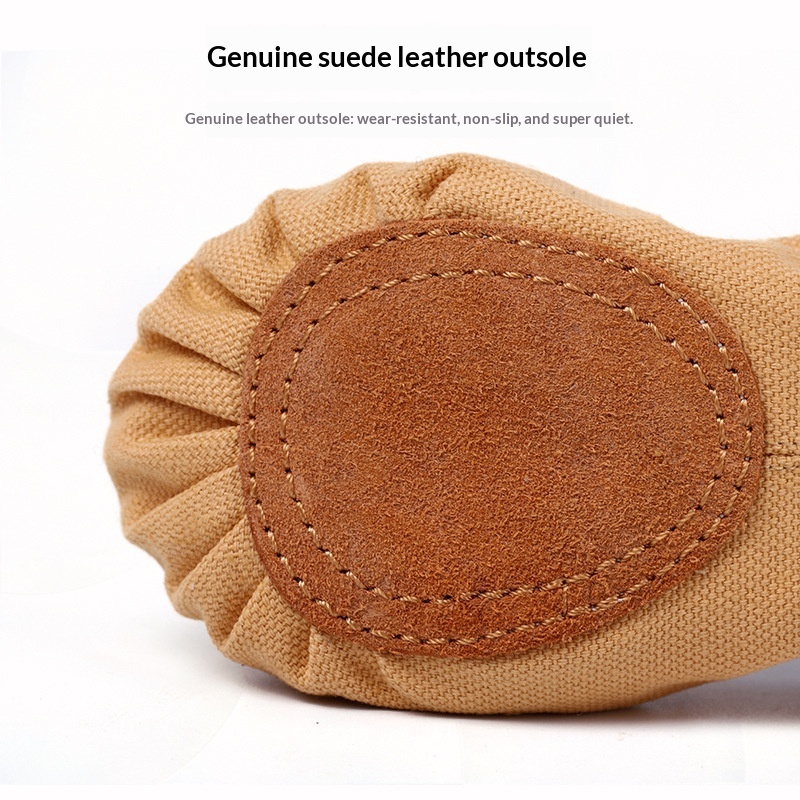 Tanzschuhe für Kinder, elastisch, ohne Schnürsenkel, weiche Sohle, Katzenpfoten-Design, Übungsschuhe für Tanz und Ballett_voghion.com
