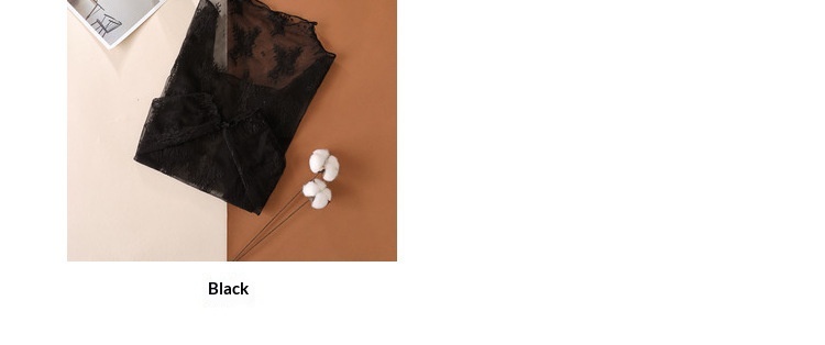 Camicia donna maniche lunghe in pizzo top elegante in mesh_voghion.com