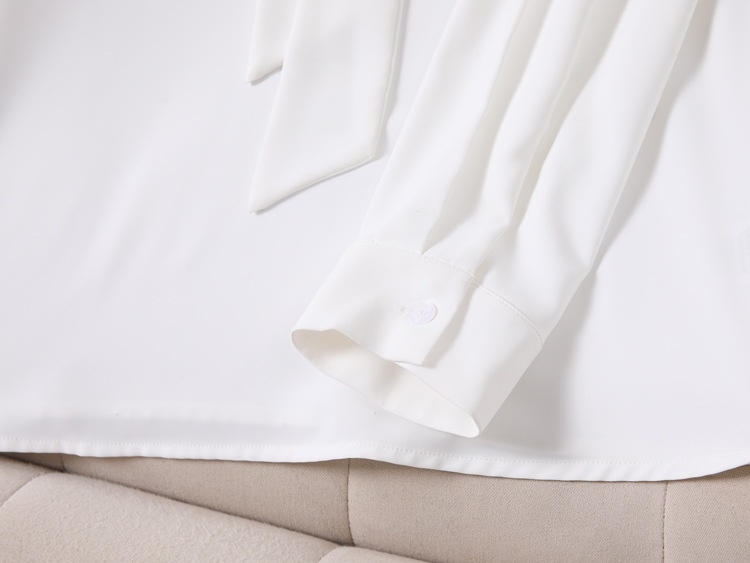 Camicia donna in chiffon stile coreano blusa elegante manica lunga_voghion.com