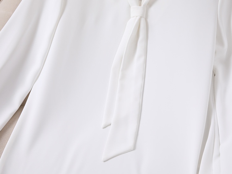 Camicia donna in chiffon stile coreano blusa elegante manica lunga_voghion.com