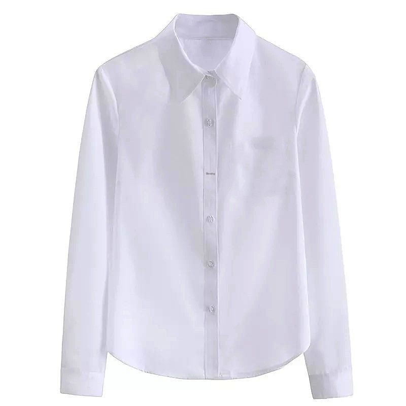 Lente- en herfstblouse voor dames, witte blouse met lange mouwen, Koreaanse stijl, slim fit, professionele werkkleding, formele jurk, plus size_voghion.com