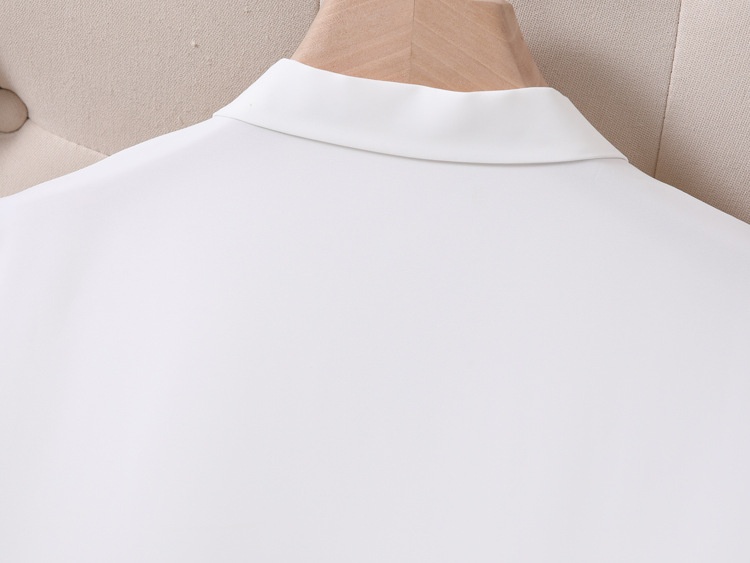 Camicia donna in chiffon stile coreano blusa elegante manica lunga_voghion.com
