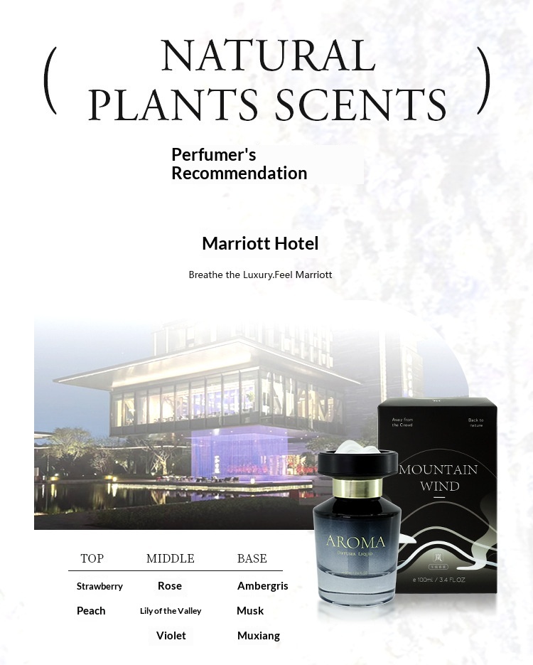 Bil luftfrisker snebjerge premium duft ornament_voghion.com