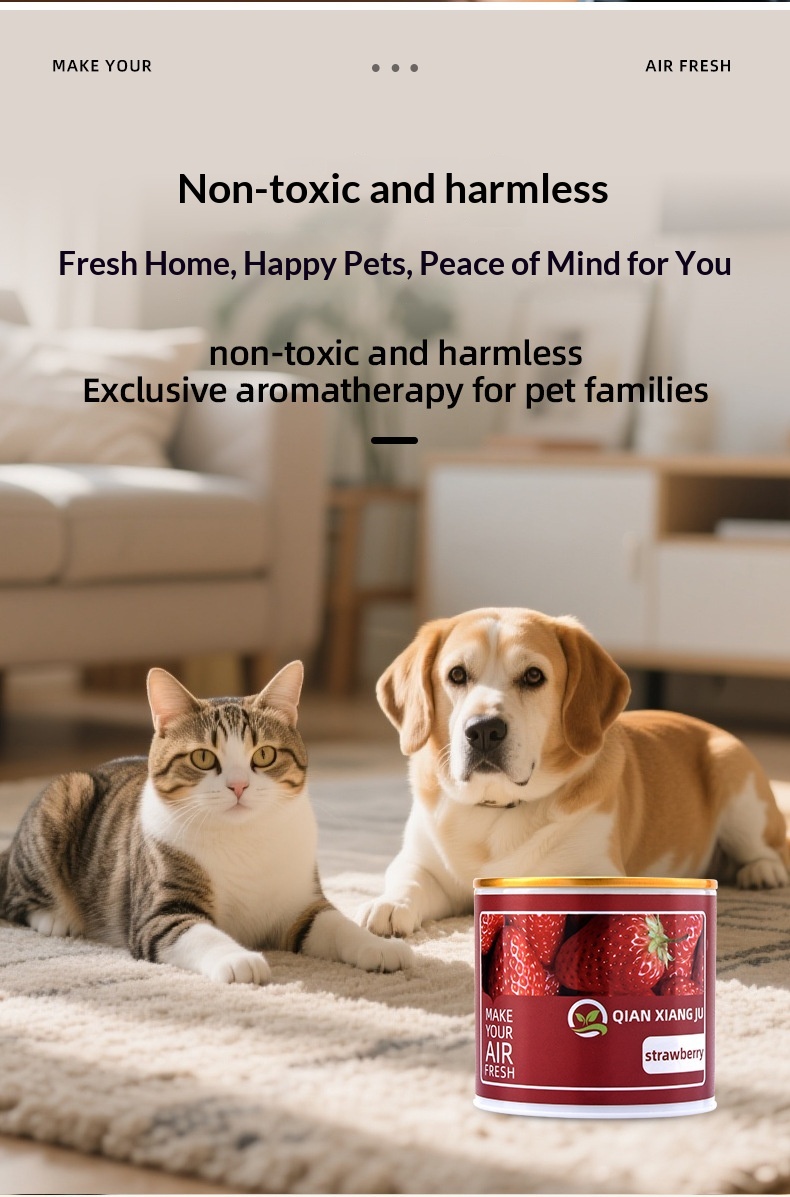 Luftfräschare i burk solid för bil hem och husdjur_voghion.com