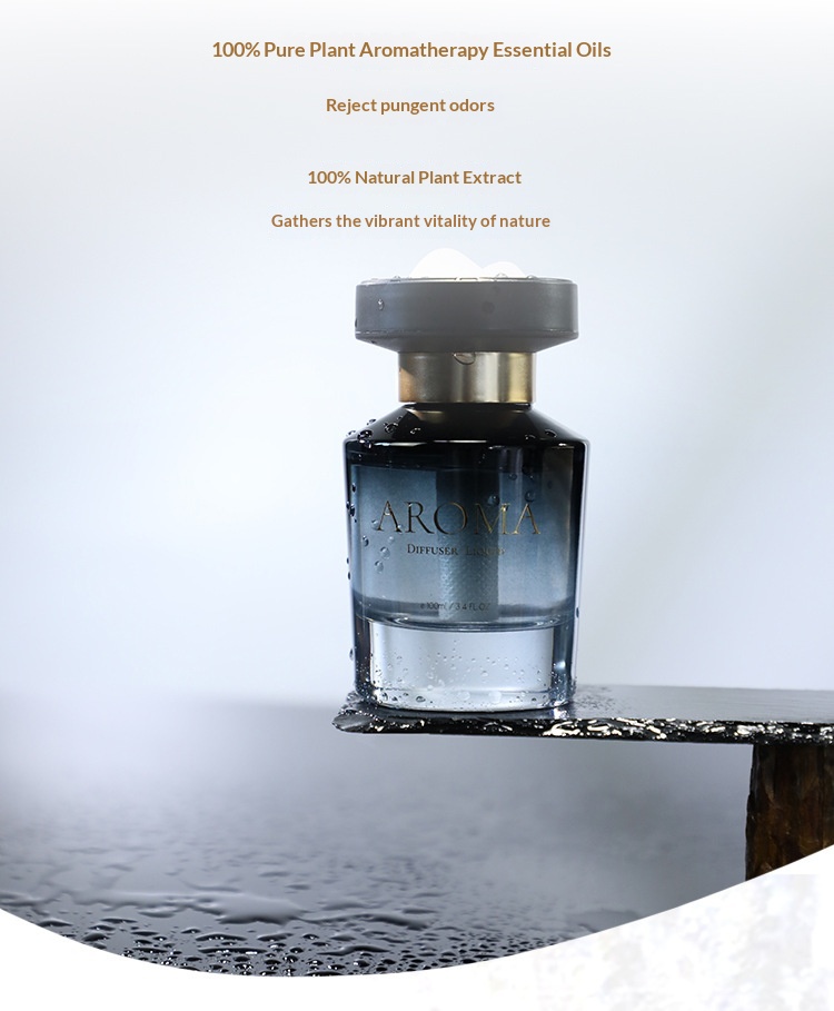 Bil luftfrisker snebjerge premium duft ornament_voghion.com