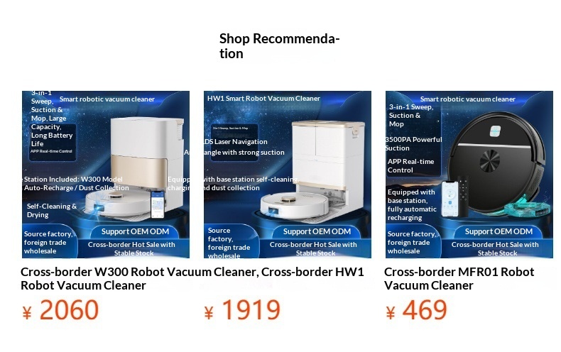 Customized W300 Robot For Home Use, High Suction, Intelligent, Fully Automatic Sweeping And Mopping, Laser Navigation_voghion.com