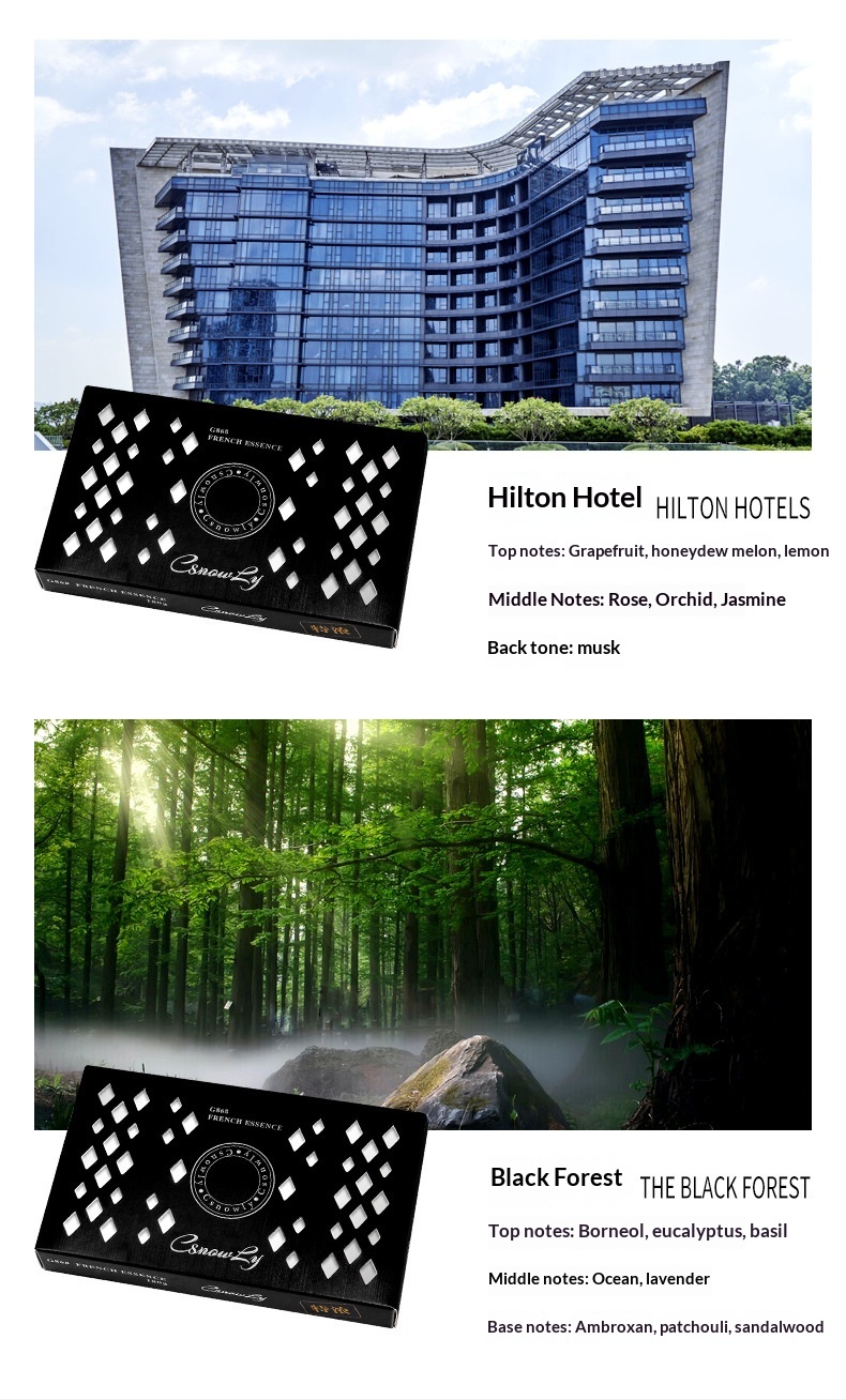 Auto luchtverfrisser osmanthus solid parfum voor interieur_voghion.com