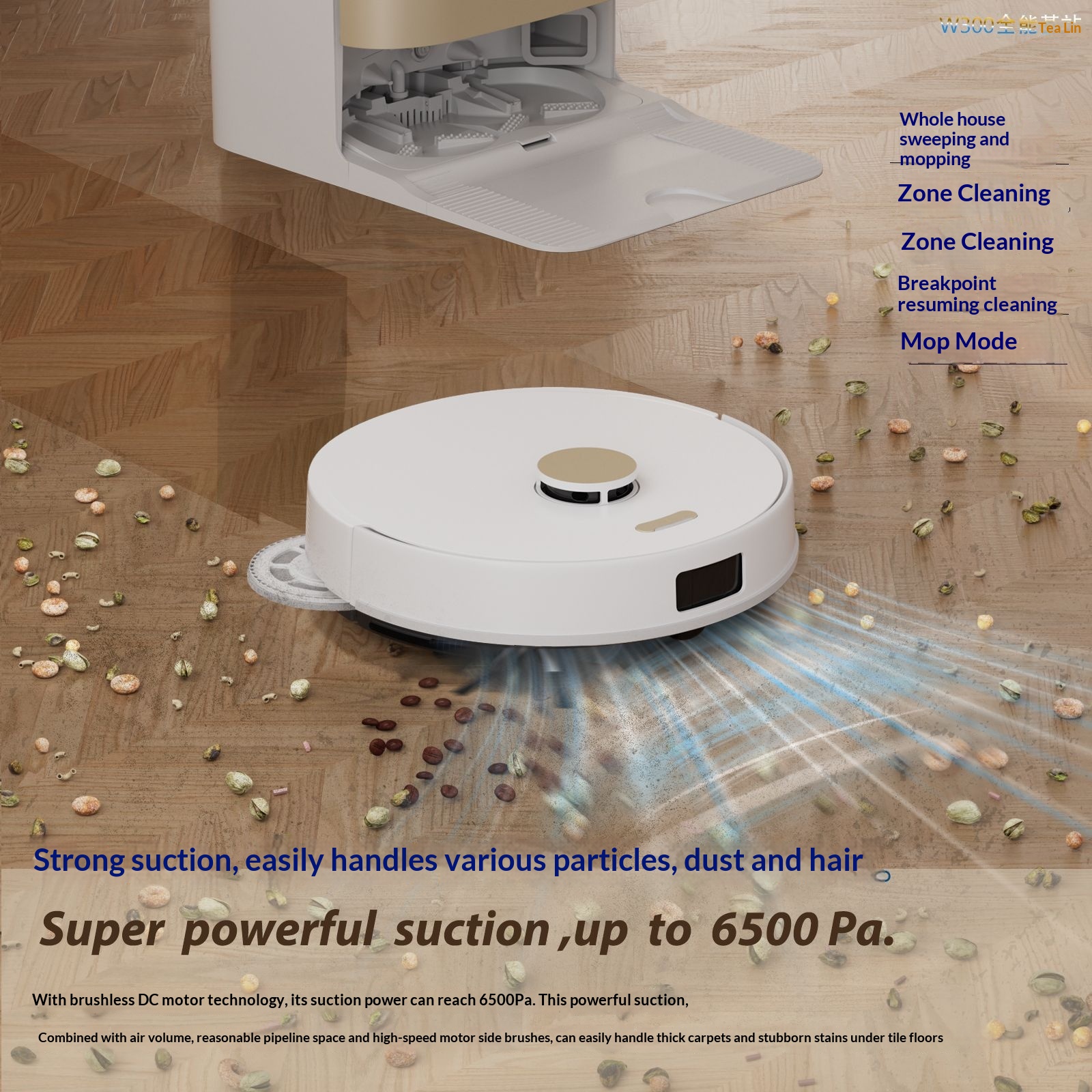 Customized W300 Robot For Home Use, High Suction, Intelligent, Fully Automatic Sweeping And Mopping, Laser Navigation_voghion.com