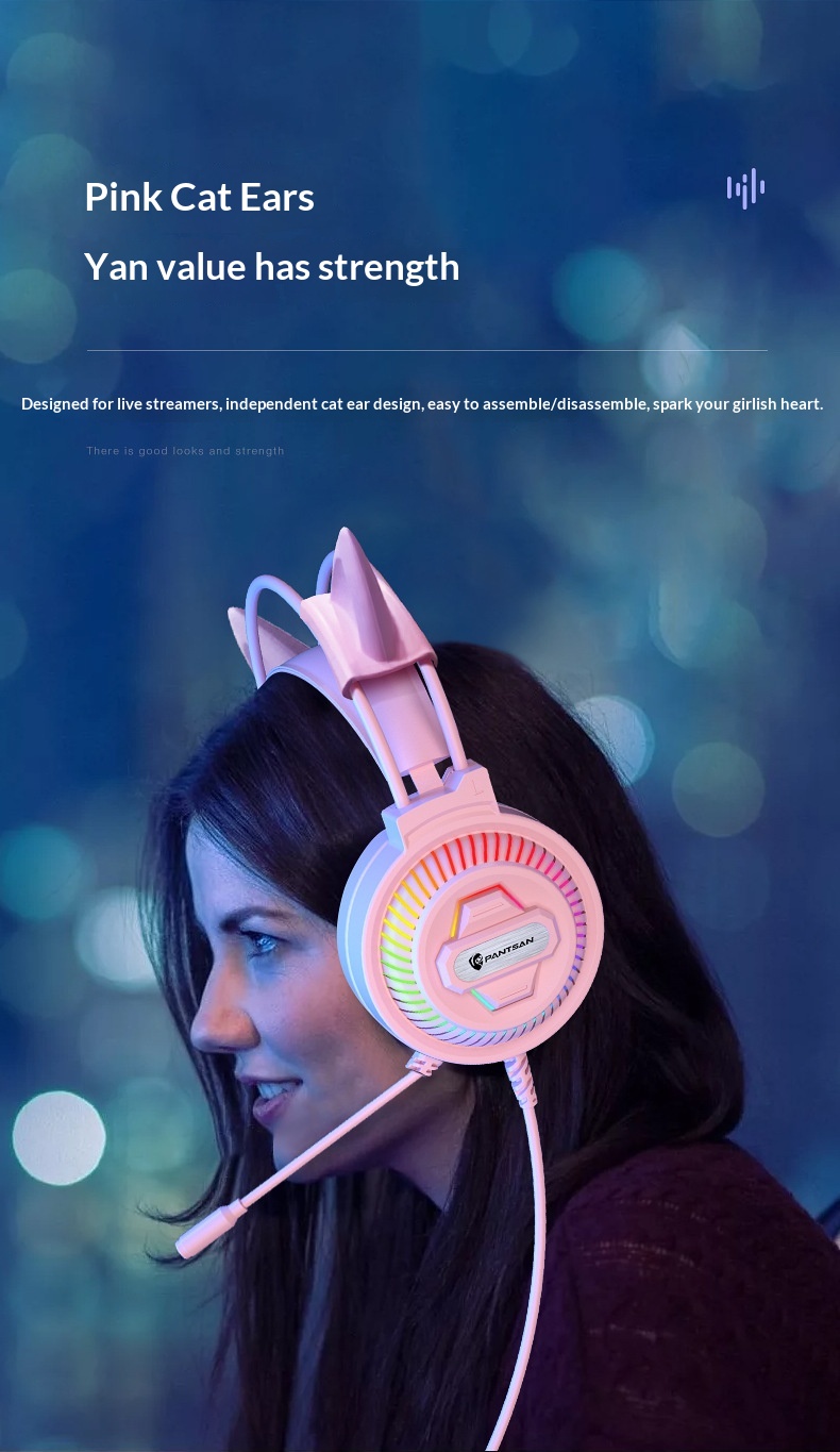 Cross-Border Pansun PSH-400 Over-Ear Computer Desktop Gaming Wired Laptop Headset_voghion.com