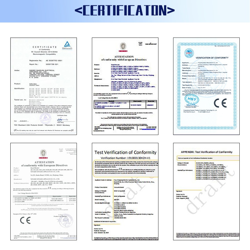 RAF Cross-Border European Standard Sterile Direct Split Multi-Function Constant Temperature Electric Kettle Intelligent_voghion.com