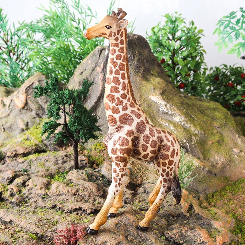 Modèles d'animaux solides pour simulation cognitive : lion, tigre, éléphant, hippopotame, girafe, ours brun, kangourou, zèbre (jouet)_voghion.com